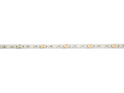 EUROLITE LED IP Strip 600 5m 2835 4000K 24V