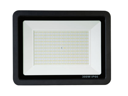 EUROLITE LED IP FL-300 SMD CW